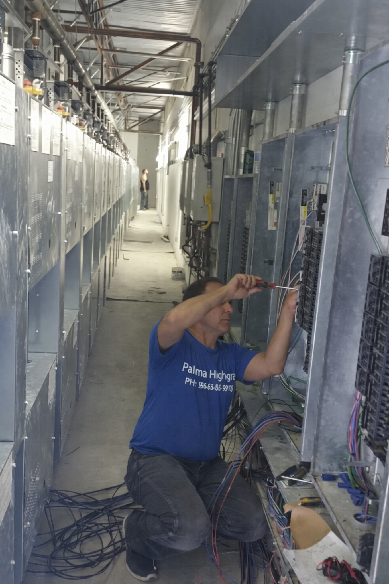 Commercial electrical conduit and ceiling systems